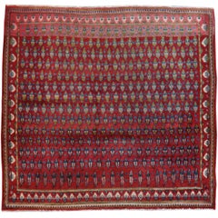 Tapis de Kashan persan vintage