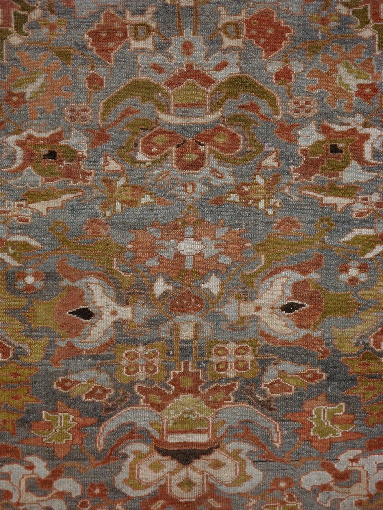 Classic Persian Bakhtiari