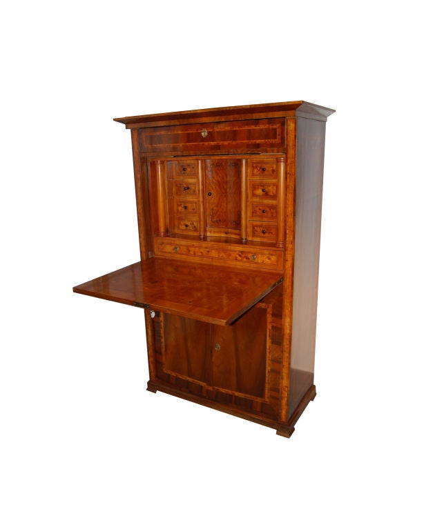 Biedermeier Secretaire made of walnut, root wood and ebonized wood with fall-front writing surface, interior drawers and secret compartments.