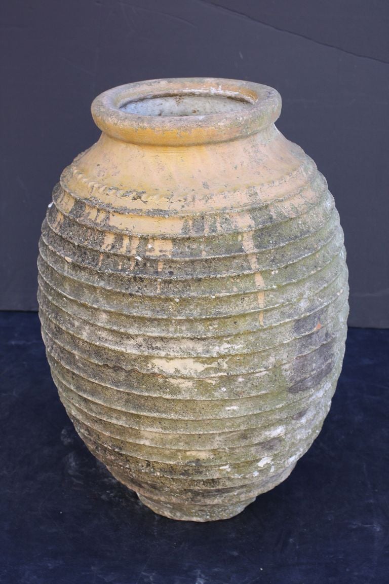 Large Greek Garden Urn or Oil Jar