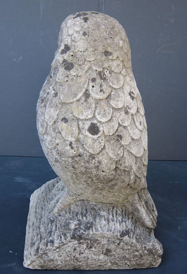 Large English Garden Stone Owl 3