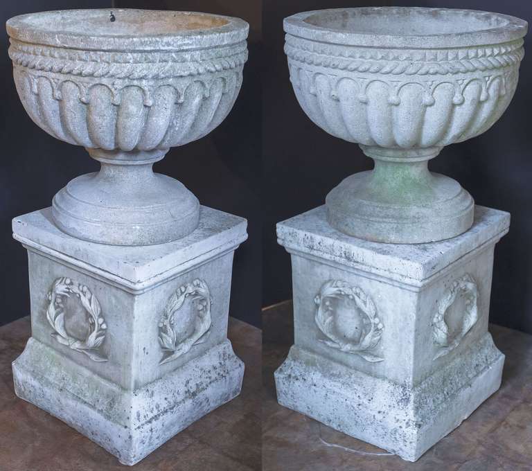 A handsome pair of English circular garden stone urns (or planters) on raised square plinths. The urns featuring garlands around the top circumference and fluted bowls. The plinths featuring Classical-styled wreaths of laurel on each