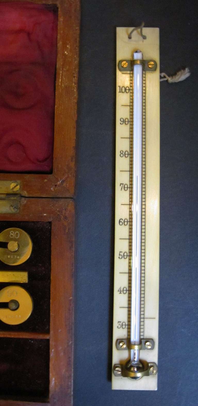 19th Century Sikes Hydrometer by Riddels Limited, Belfast For Sale
