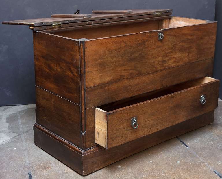 Large English Mule Chest of Teak 1