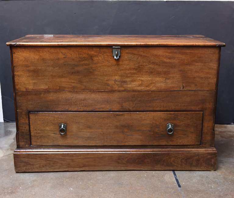 Large English Mule Chest of Teak In Excellent Condition In Austin, TX