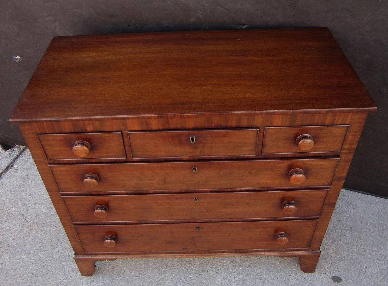 19th Century English Small Chest of Mahogany