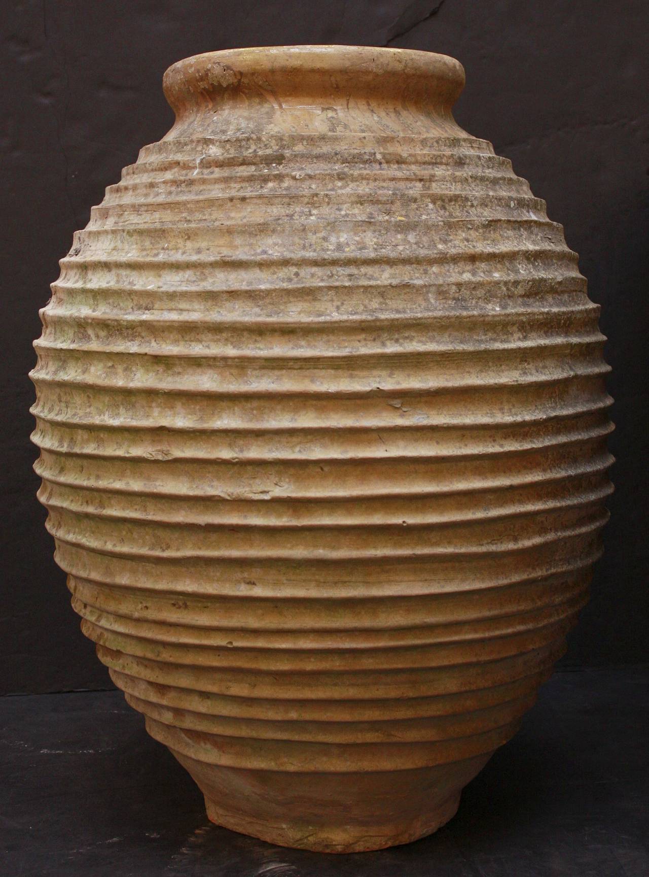 large grecian urn planter