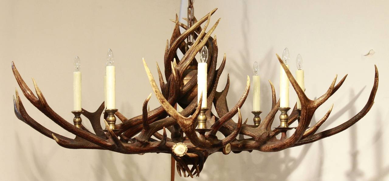 A large handsome antler or stag horn eight-light 58