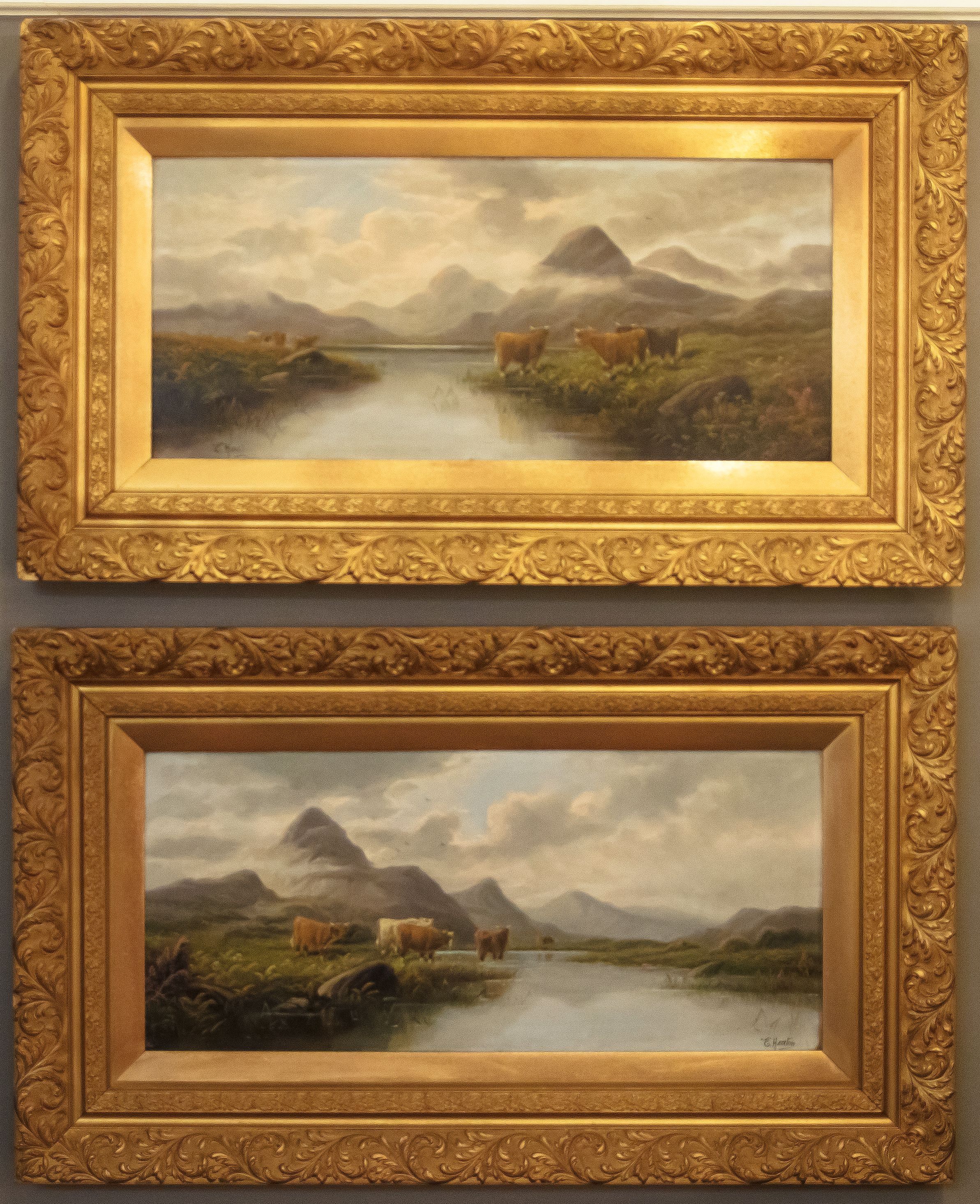 Pair of Oil Paintings of Highland Cattle by E. Heaton (Individually Priced)