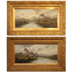 Pair of Oil Paintings of Highland Cattle by E. Heaton (Individually Priced)