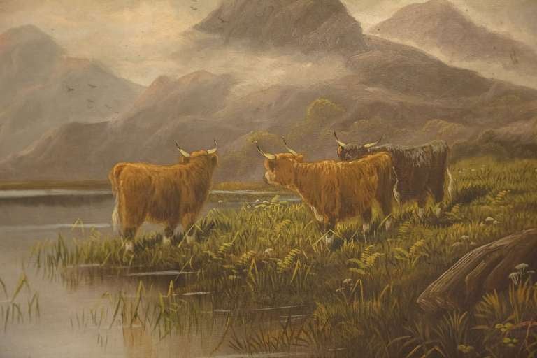 highland cattle oil painting