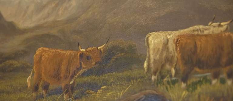 Pair of Oil Paintings of Highland Cattle by E. Heaton (Individually Priced) 2