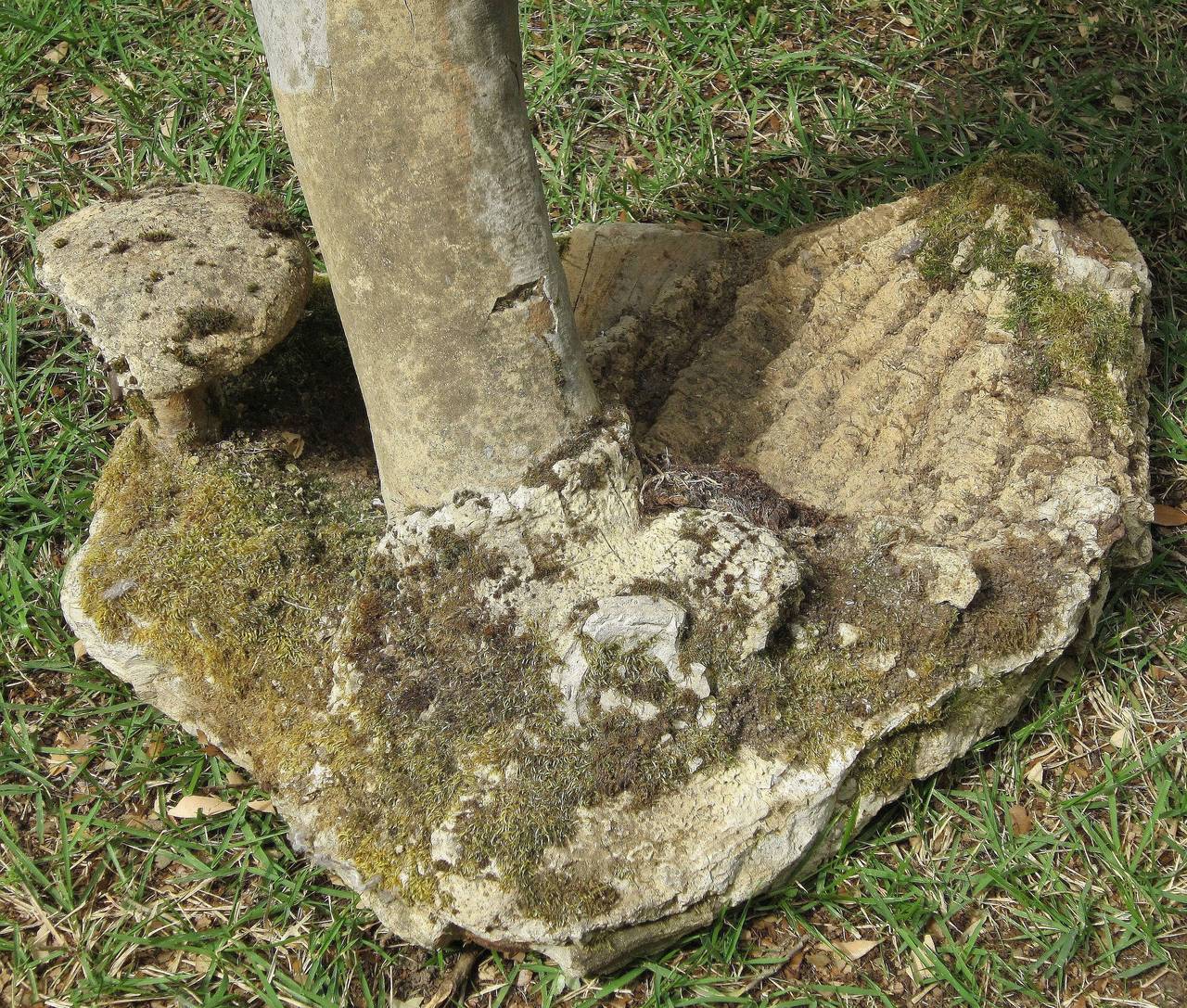 French Garden Stone Grouping of Mushrooms 2