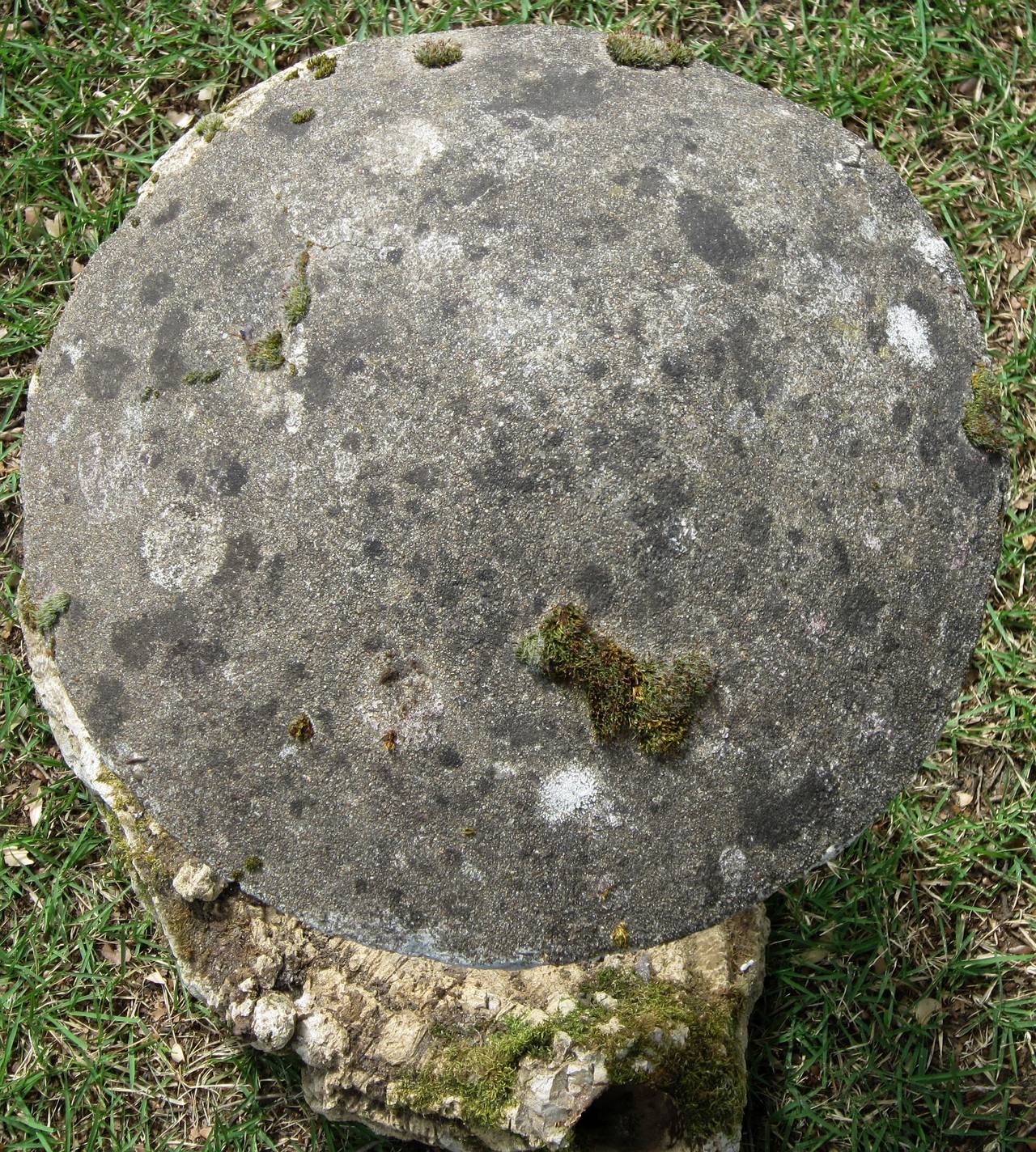 20th Century French Garden Stone Grouping of Mushrooms