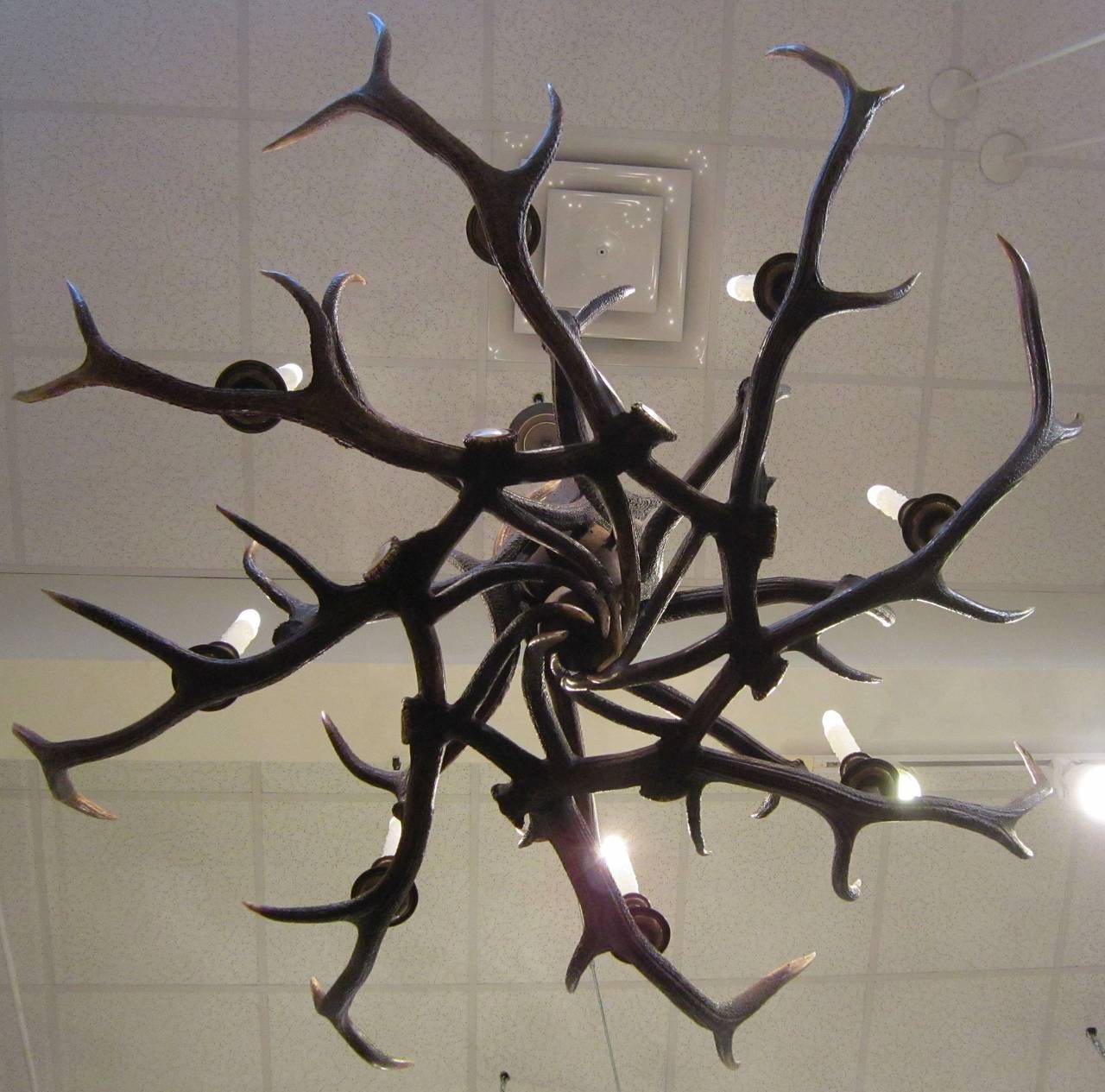 Large Antler Horn Eight-Light Hanging Fixture (58