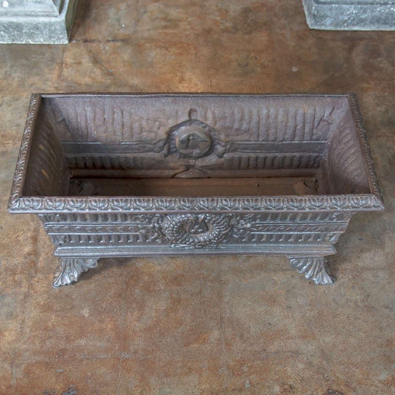 19th Century French Low Planter of Cast Iron