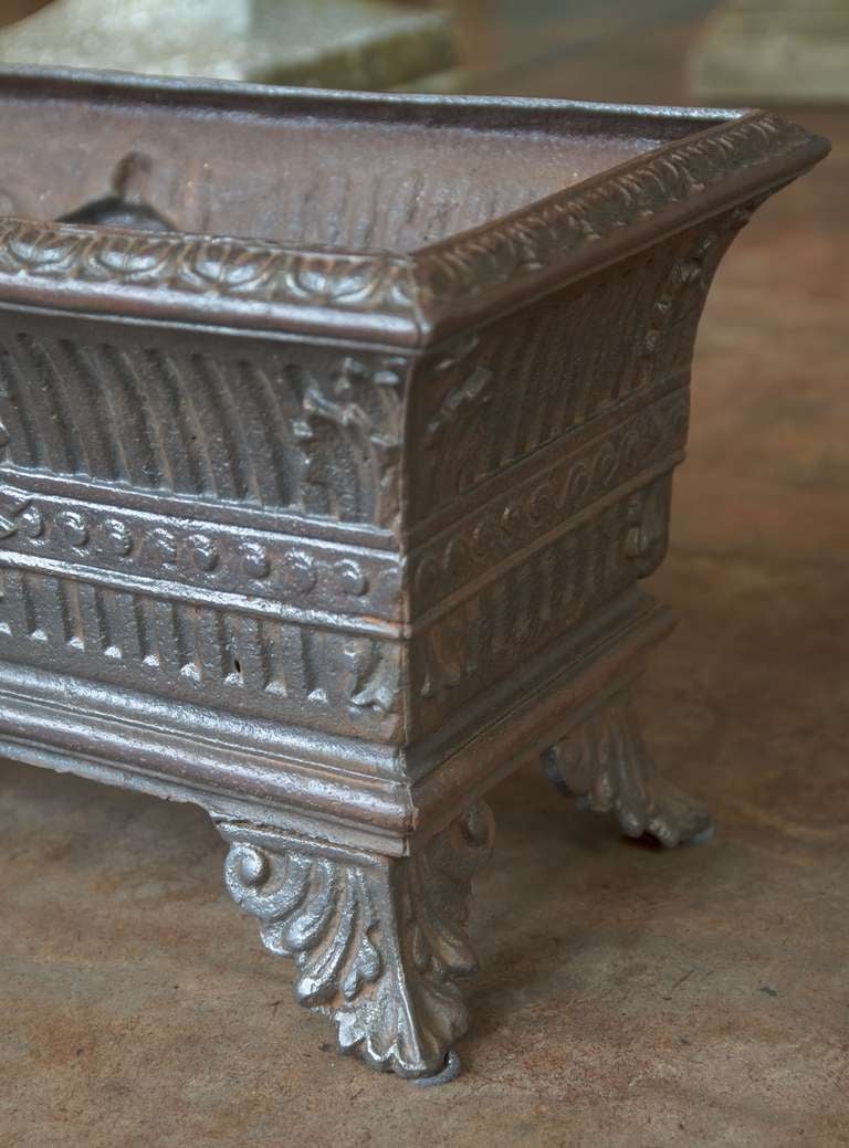 French Low Planter of Cast Iron 3