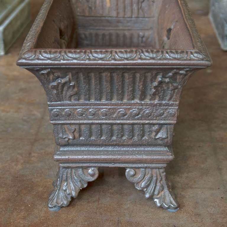 French Low Planter of Cast Iron 5