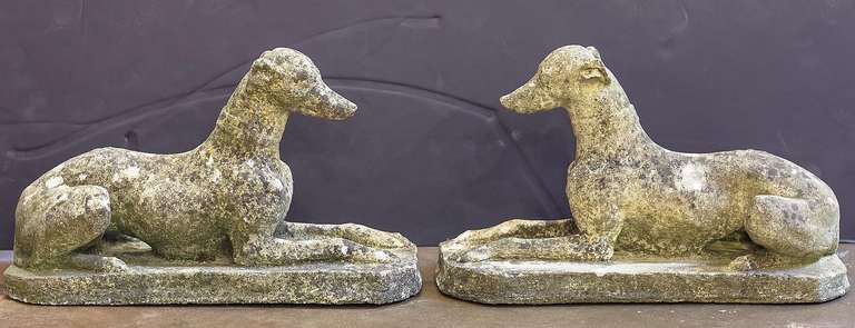 A pair of English garden stone whippets or greyhound dogs in a recumbent position on long oval bases, each with collar around the neck.

Perfect for a garden room or conservatory

Priced for individual sale: $2450 each dog