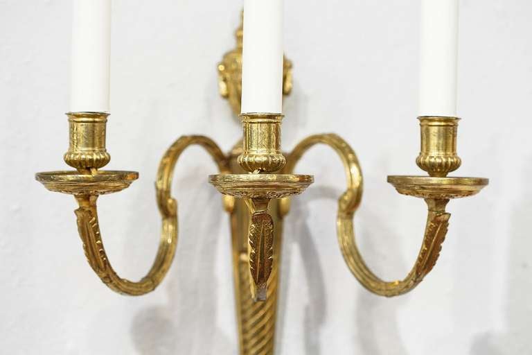 Pair of Adam Style Wall Lights or Sconces from England For Sale 2
