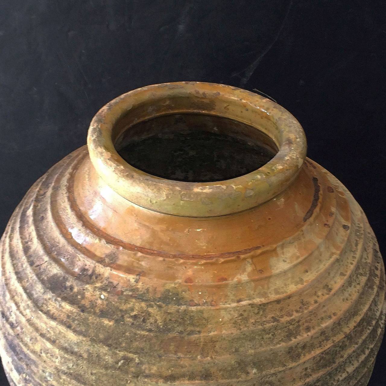greek urns for gardens