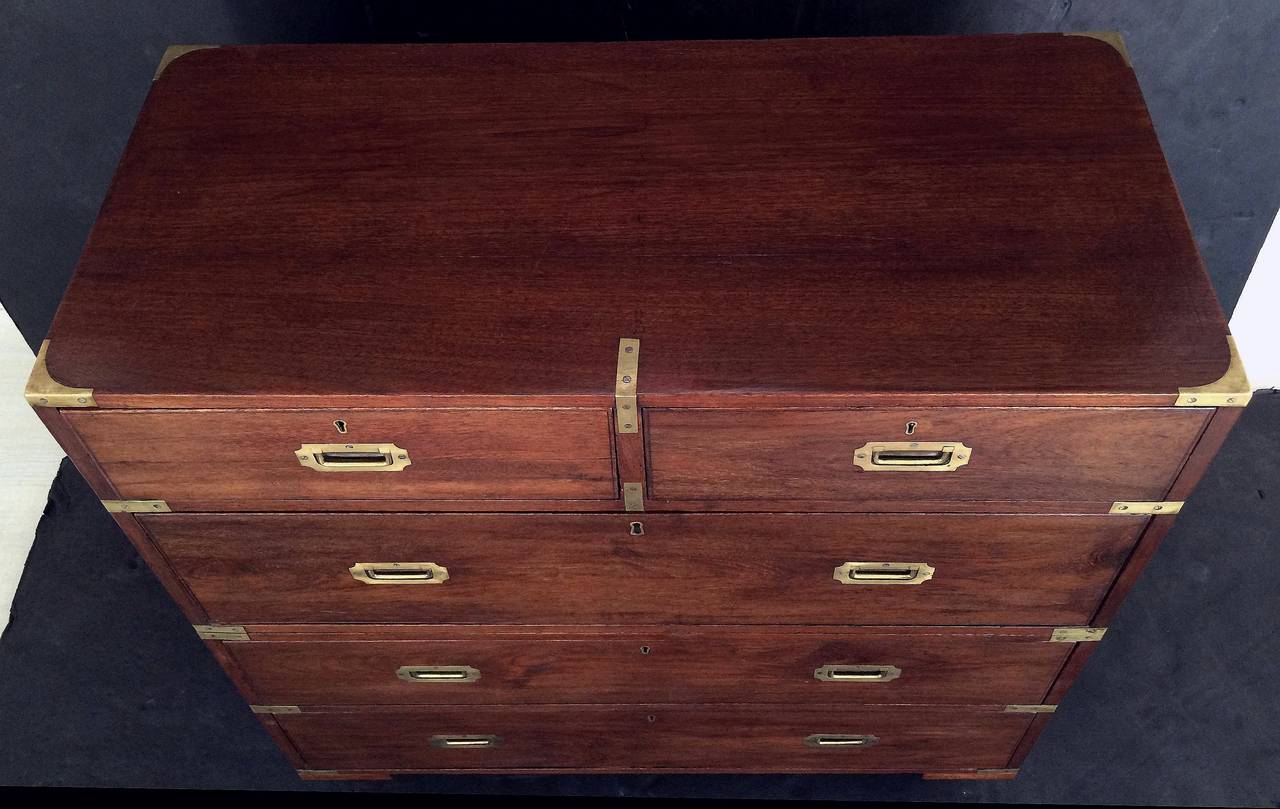 Stained English Campaign Chest in Teak