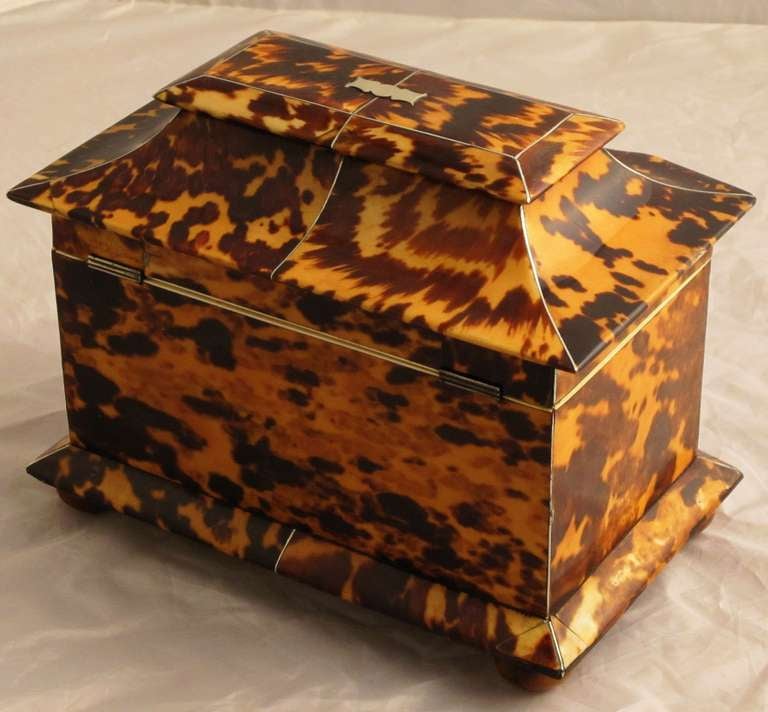 Tortoise Shell Tea Caddy from the Regency Period 1