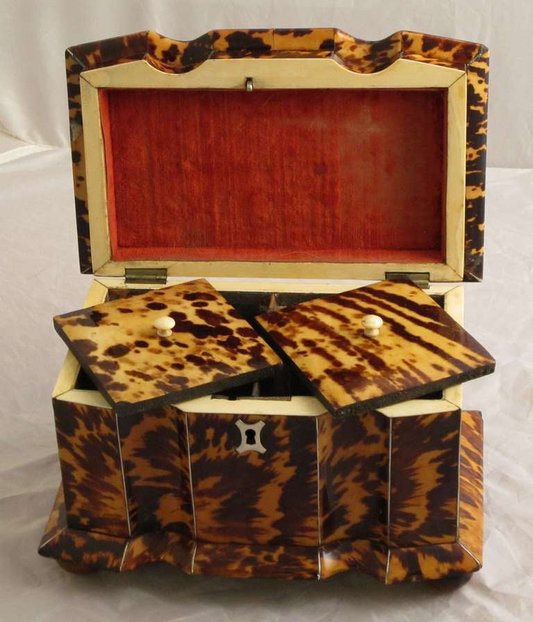 Tortoise Shell Tea Caddy from the Regency Period 3