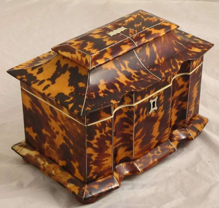 Tortoise Shell Tea Caddy from the Regency Period In Excellent Condition In Austin, TX