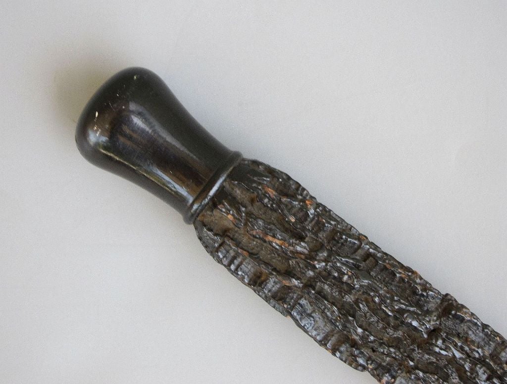 An uncommon English walking stick or cane fashioned from the root stalk of a brussel sprout cabbage and a knob of black lacquered wood. Metal cap on floor end.
