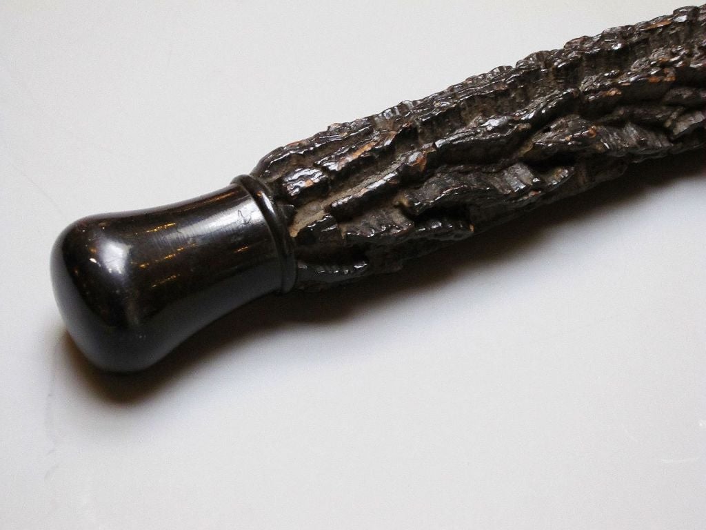 brussel sprout walking stick