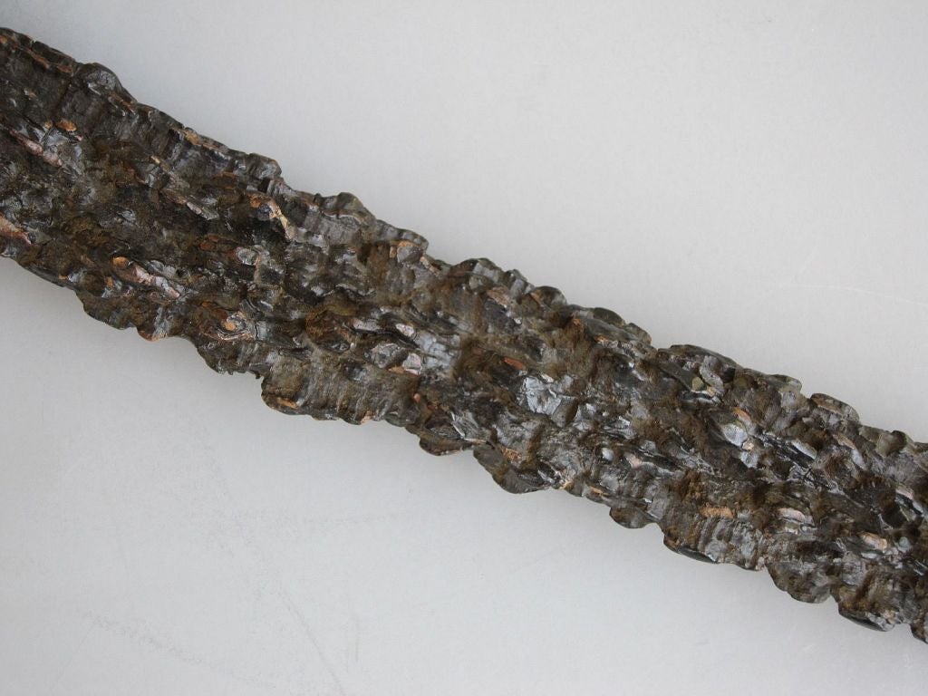 brussel sprout stalk walking stick