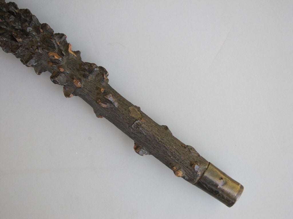 19th Century English Sprout Walking Stick