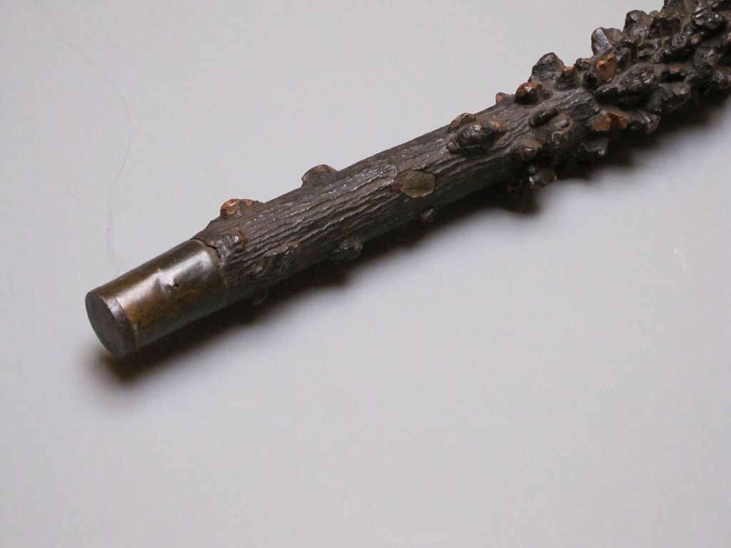 English Sprout Walking Stick 1