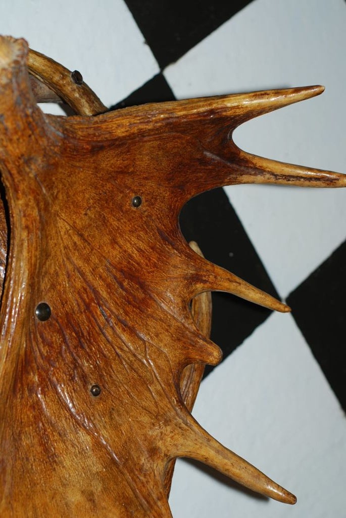 Moose Horn Stool