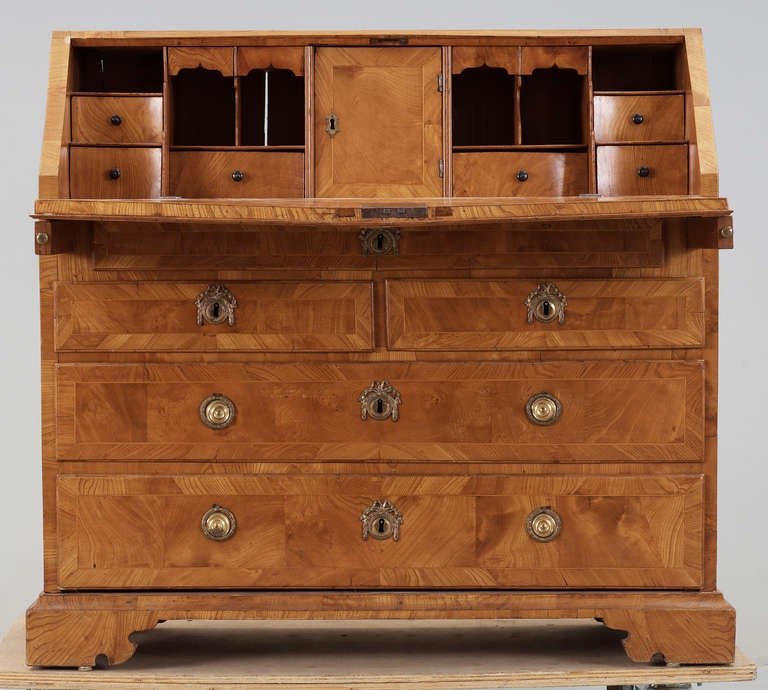 Secretary in Elm and Elm Root