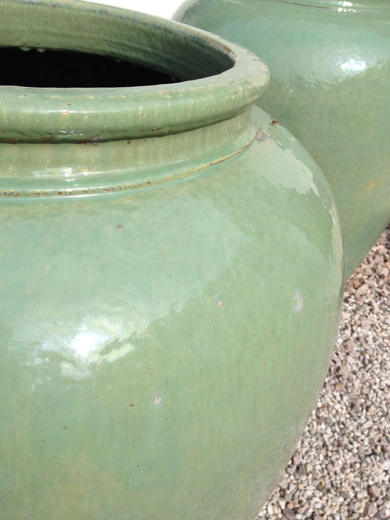 French Pair of Over Dimensioned Celadon Urns