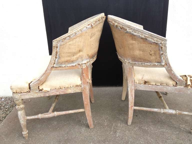 Pair of Swedish Late Gustavian / Neoclassical Barrel Back Chairs In Good Condition In New York, NY
