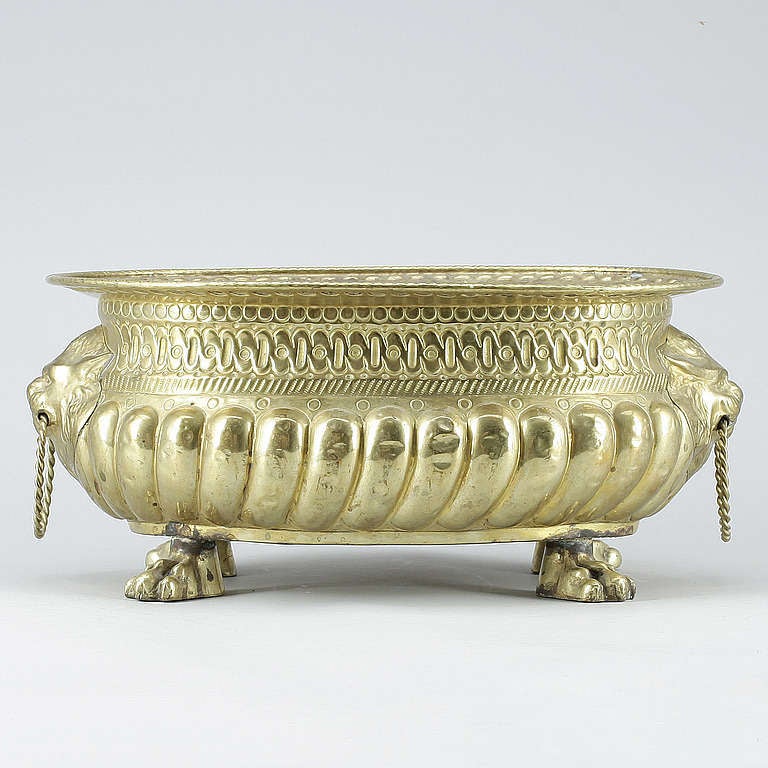 A jardiniere made in brass with beautiful details and lions heads with twisted ring handles standing on lions feet. Made during the 20th century.