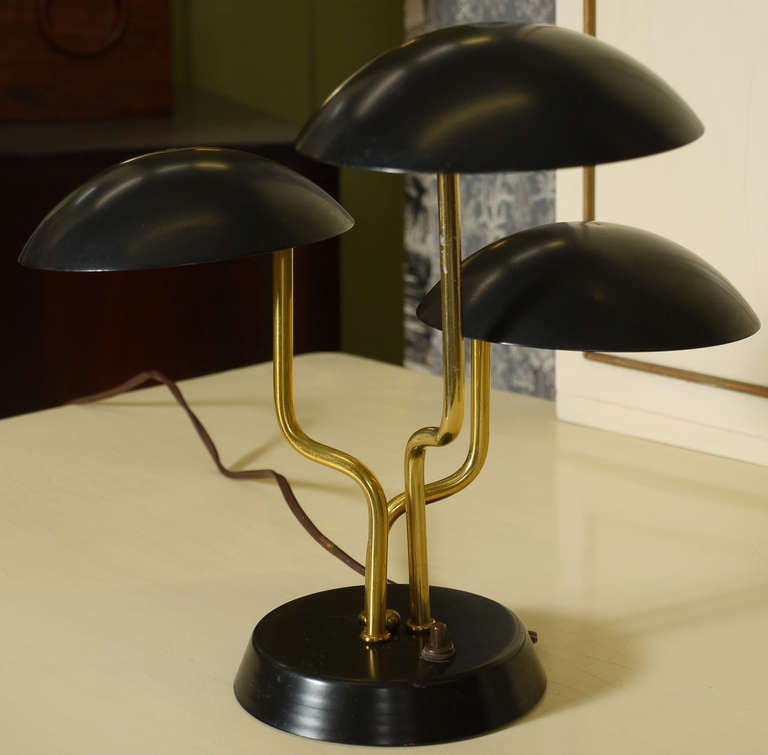 Lamp by Gino Sarfatti for Lightolier 1