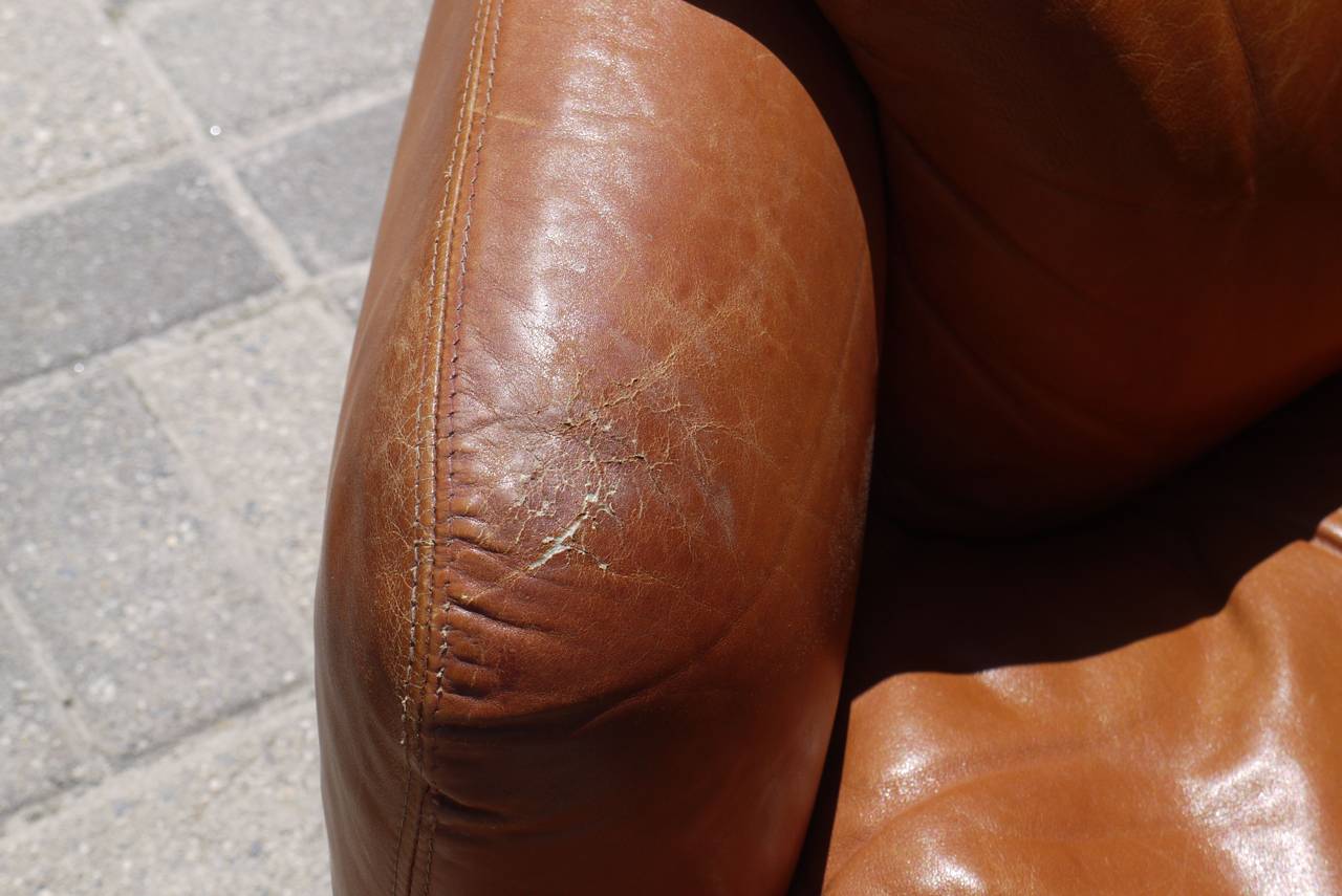 Fiberglass Rare Pair of Leather Chairs by Alberto Rosselli for Saporiti