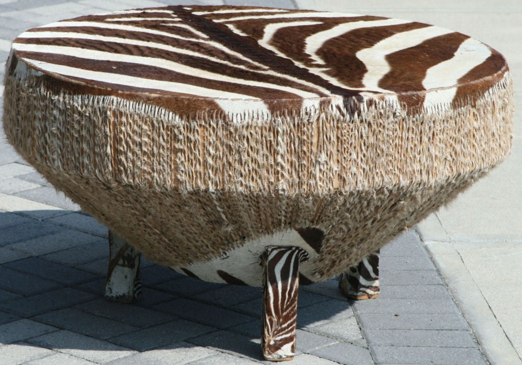 Stunning stretched zebra hide drum coffee table supported by 3 wood legs upholstered in zebra hide.