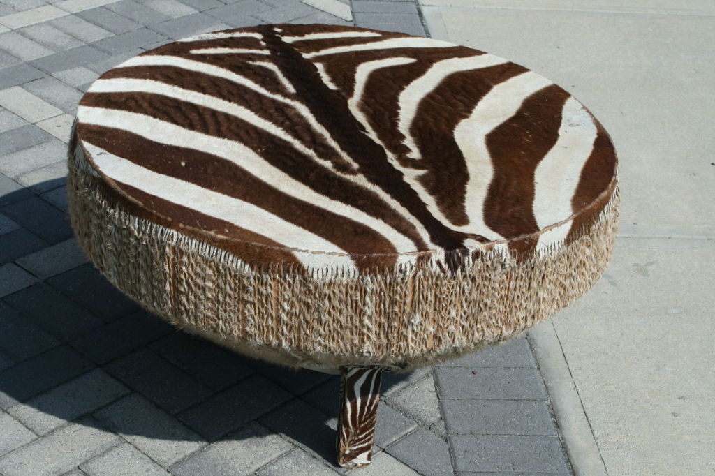 zebra skin drum