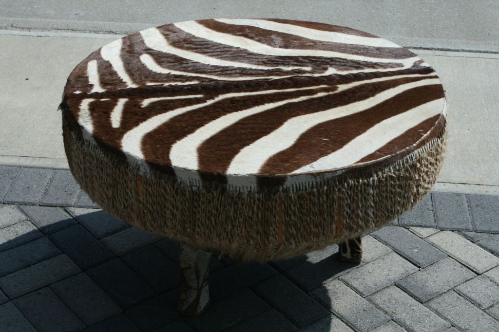 Zimbabwean Large Stretched Zebra Hide Drum Coffee Table