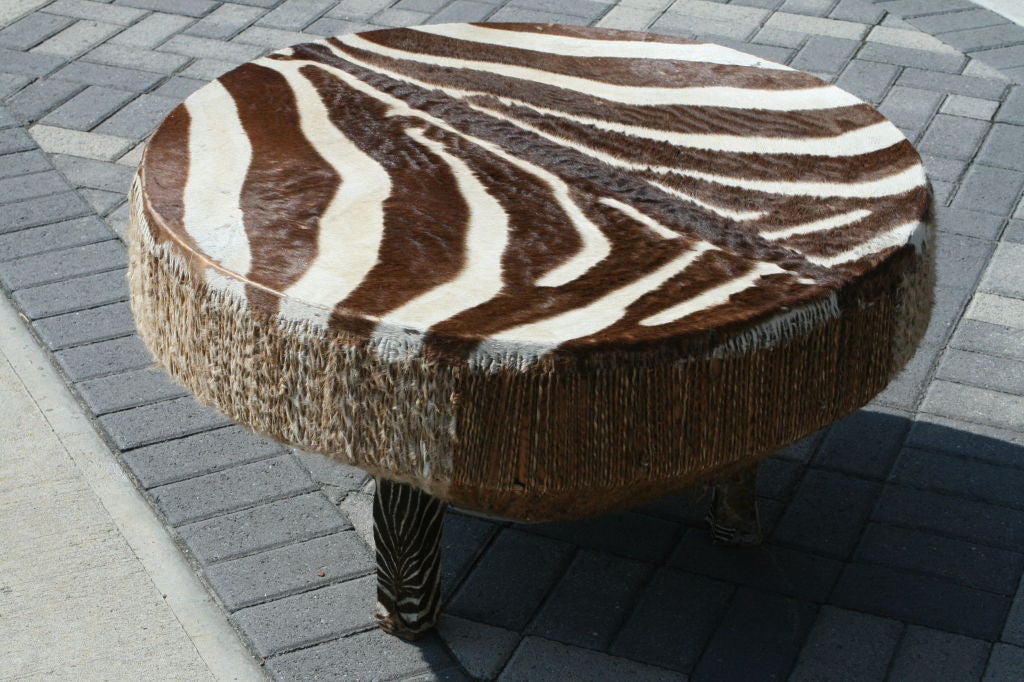 Late 20th Century Large Stretched Zebra Hide Drum Coffee Table