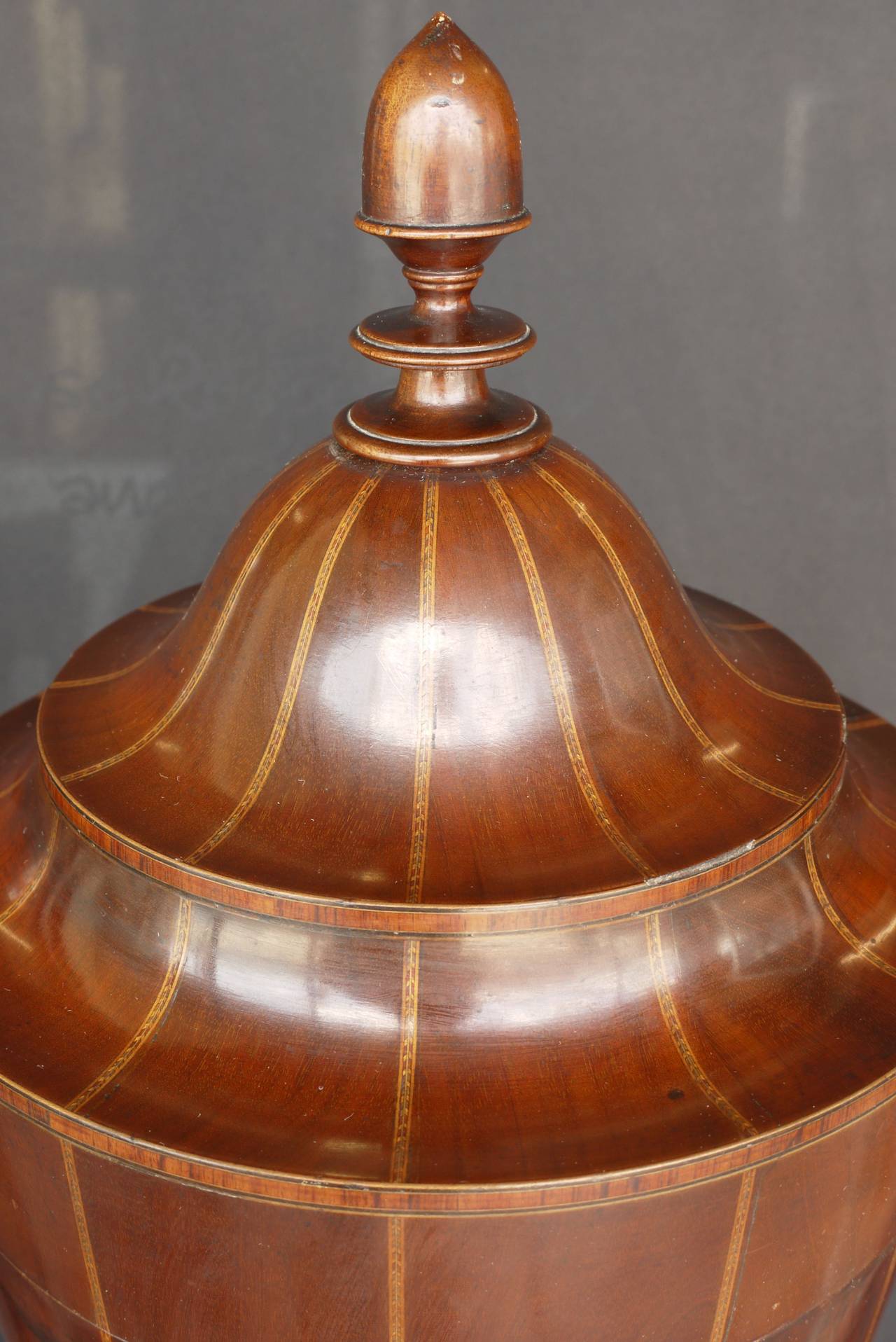 Paar Mahagoni-Besteck-Urnen aus der Zeit von George III. (Englisch) im Angebot