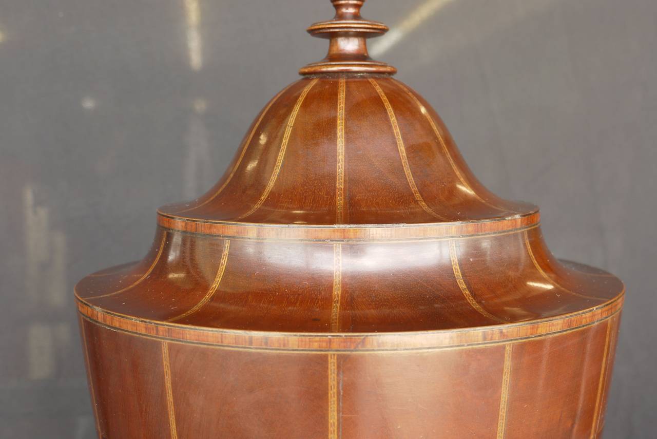 A pair of Sheraton period cutlery-urns with a turned finial to the top, with feather-banded boxwood inlaid vertical stripes to the lid and body, with a turned socle, on a hexagonal base with ogee bracket feet. Missing interior fittings but