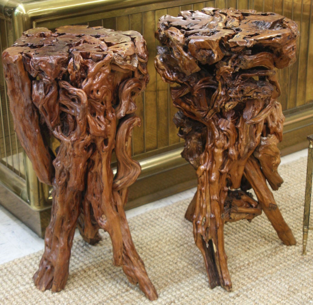 Pair of Root Wood Pedestals