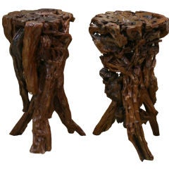 Pair of Root Wood Pedestals