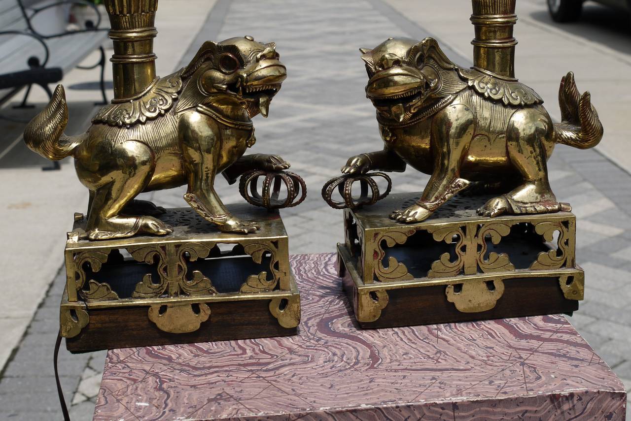 Qing Pair of 19th Century Chinese Bronze Foo Dog Lamps For Sale